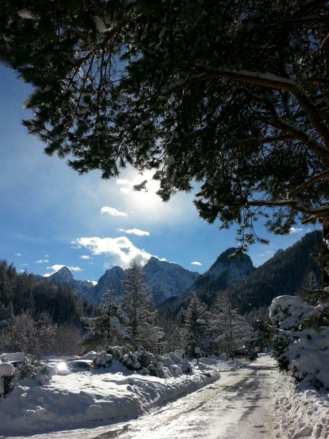 Apartmaji Gros Kranjska Gora Dış mekan fotoğraf